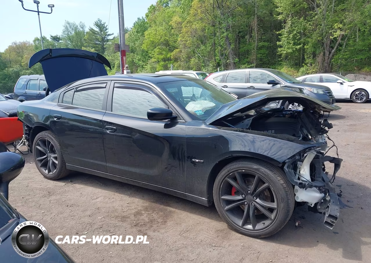2015 Dodge Charger Road-Track VIN:2C3CDXCT4FH734956 - 14