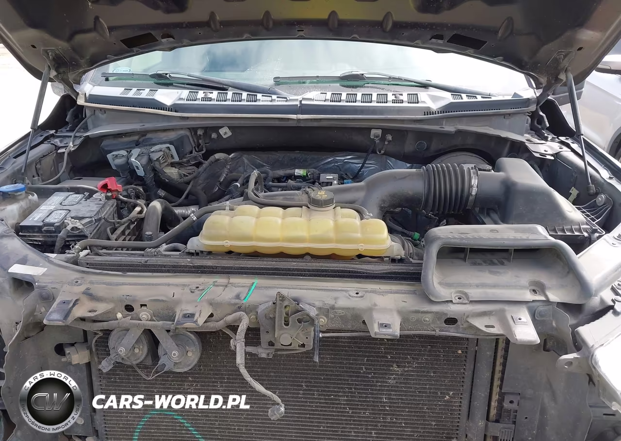 2019 Ford F-150 Xl VIN:1FTEW1CP2KKE05111 - 10