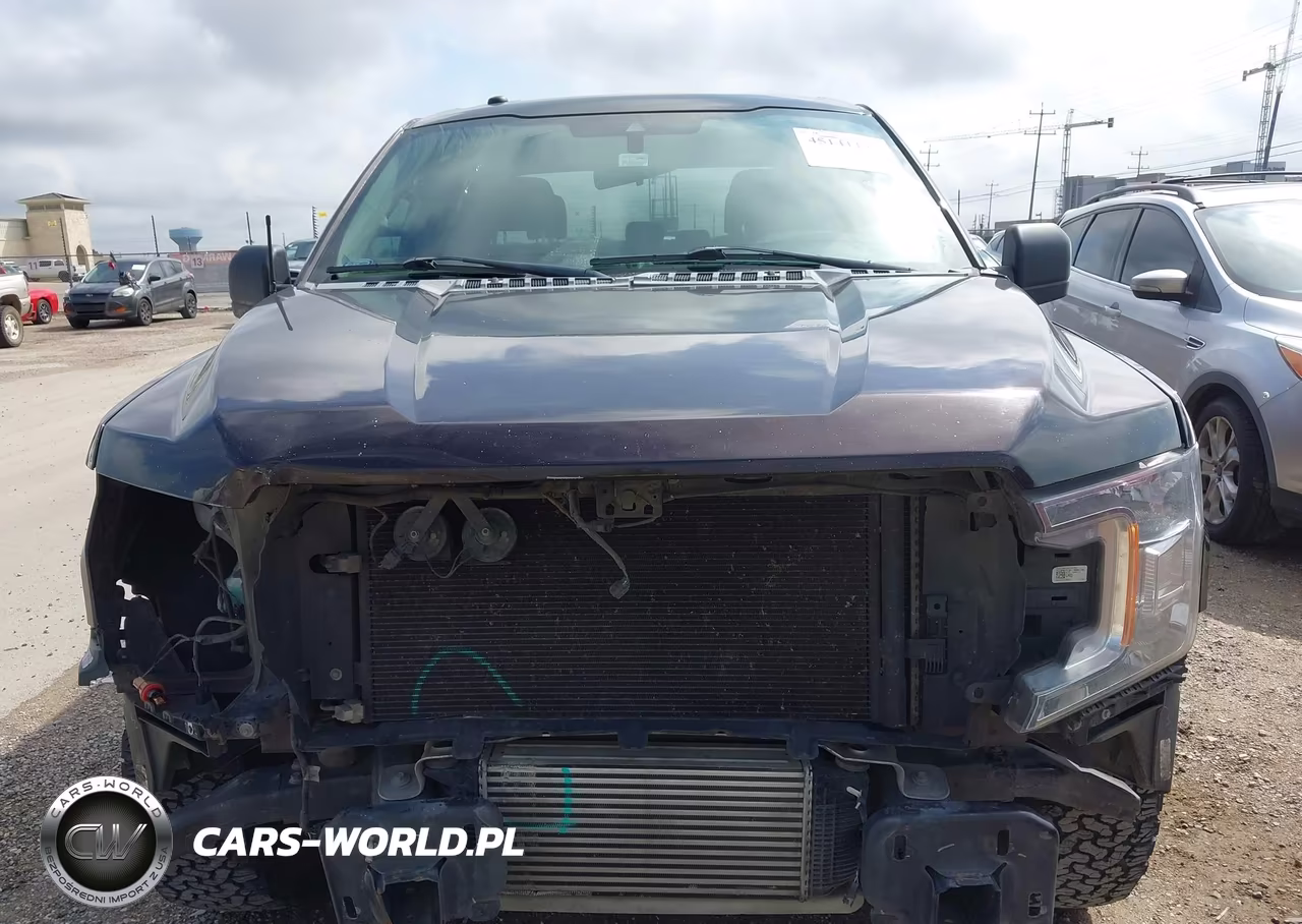 2019 Ford F-150 Xl VIN:1FTEW1CP2KKE05111 - 13