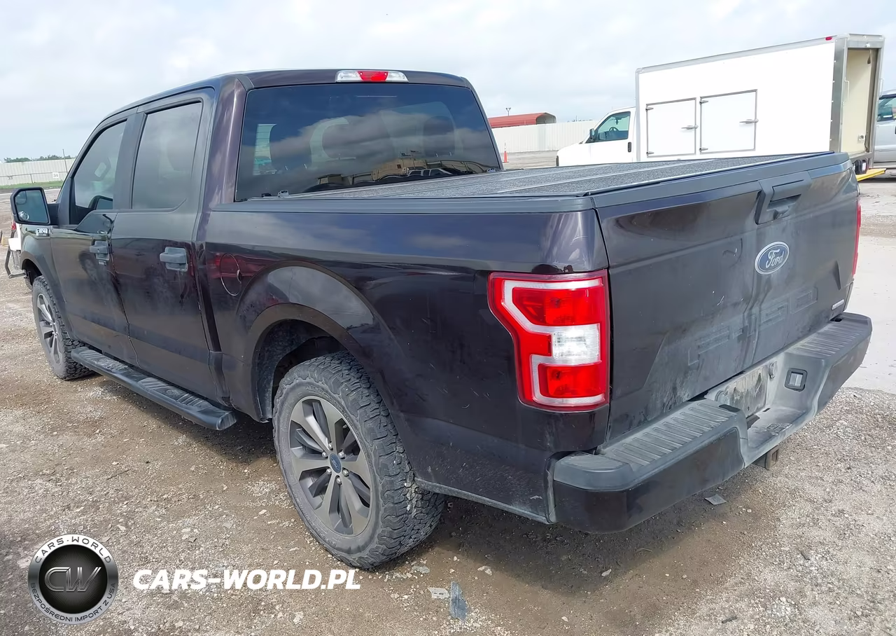 2019 Ford F-150 Xl VIN:1FTEW1CP2KKE05111 - 3