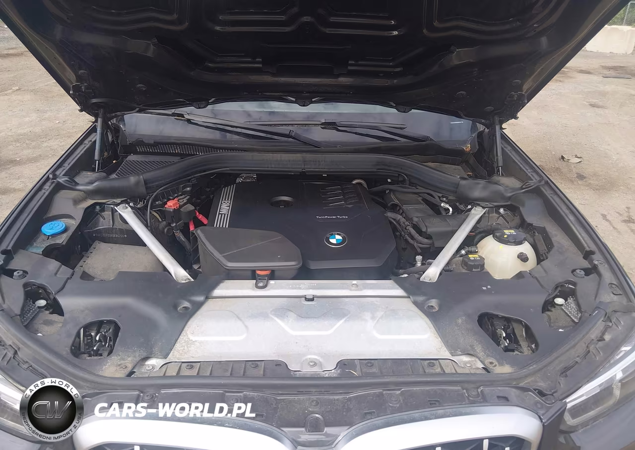 2022 BMW X4 xDrive30I VIN:5UX33DT09N9K86259 - 10