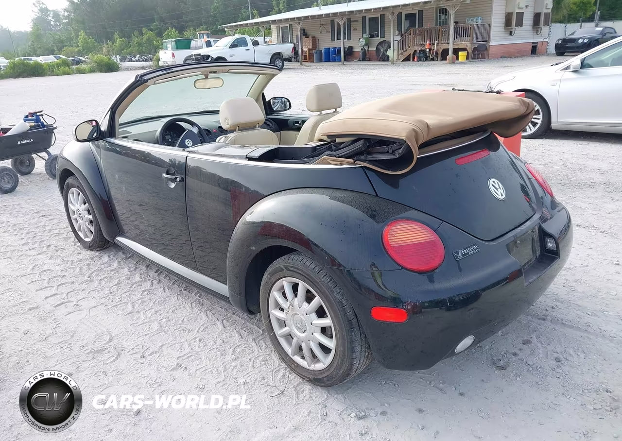 2005 Volkswagen New Beetle Gls VIN:3VWCM31YX5M362684 - 3