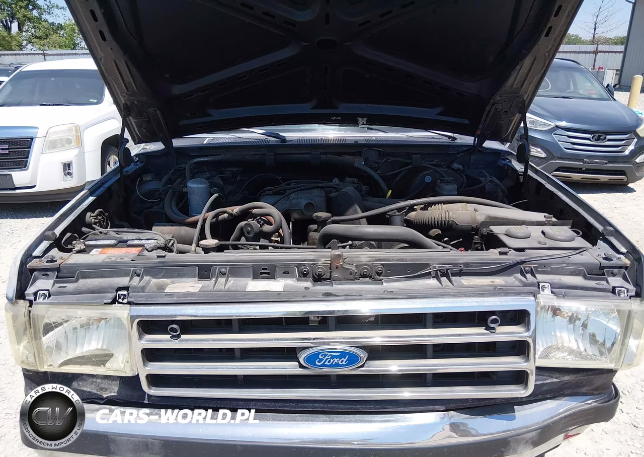 1991 Ford F150 VIN:1FTDF15Y0MNA40060 - 10
