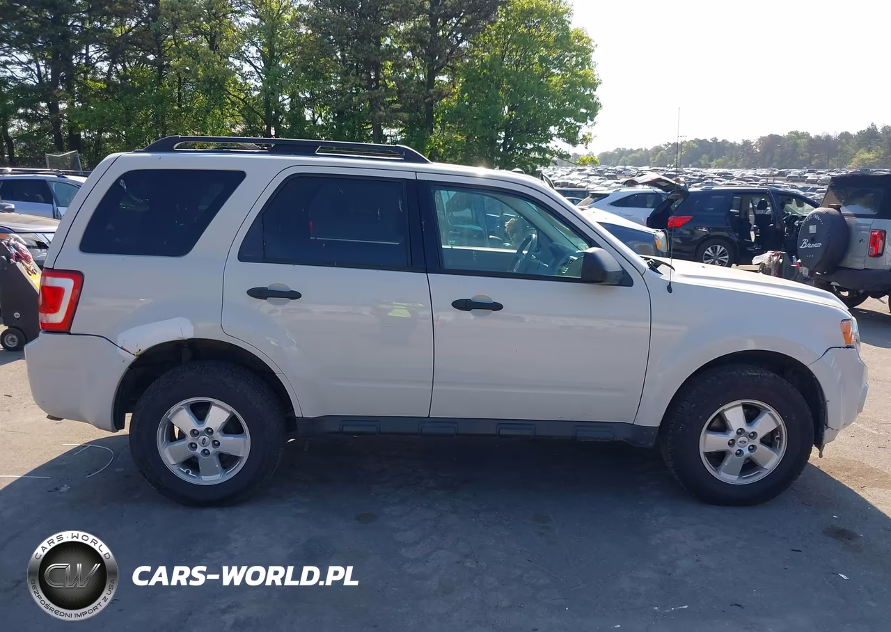 2011 Ford Escape Xlt VIN:1FMCU9D78BKA73259 - 13