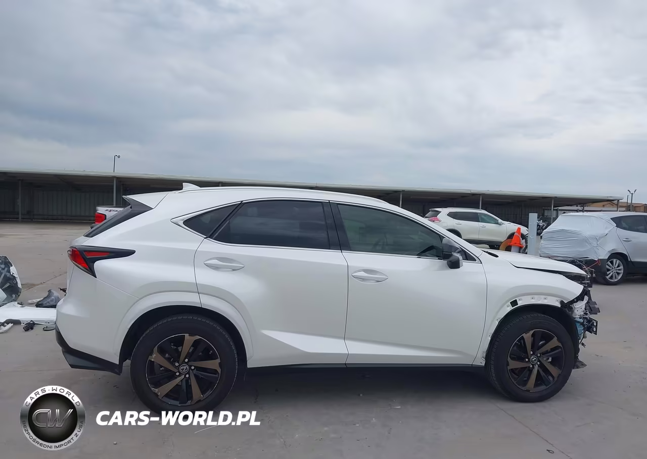 2020 Lexus Nx 300 VIN:JTJGARBZ8L2168275 - 14