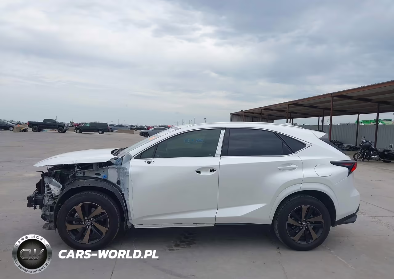 2020 Lexus Nx 300 VIN:JTJGARBZ8L2168275 - 15