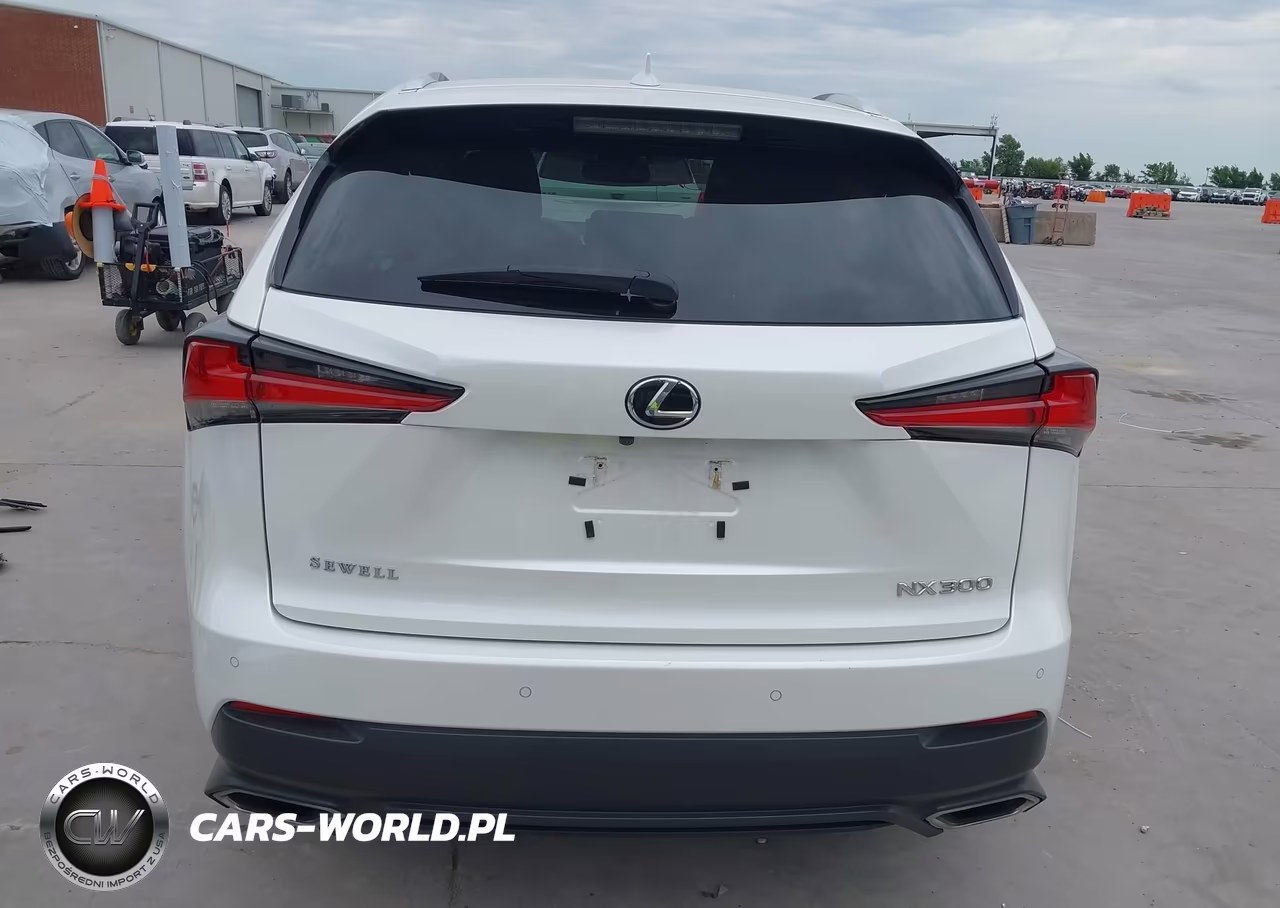 2020 Lexus Nx 300 VIN:JTJGARBZ8L2168275 - 17