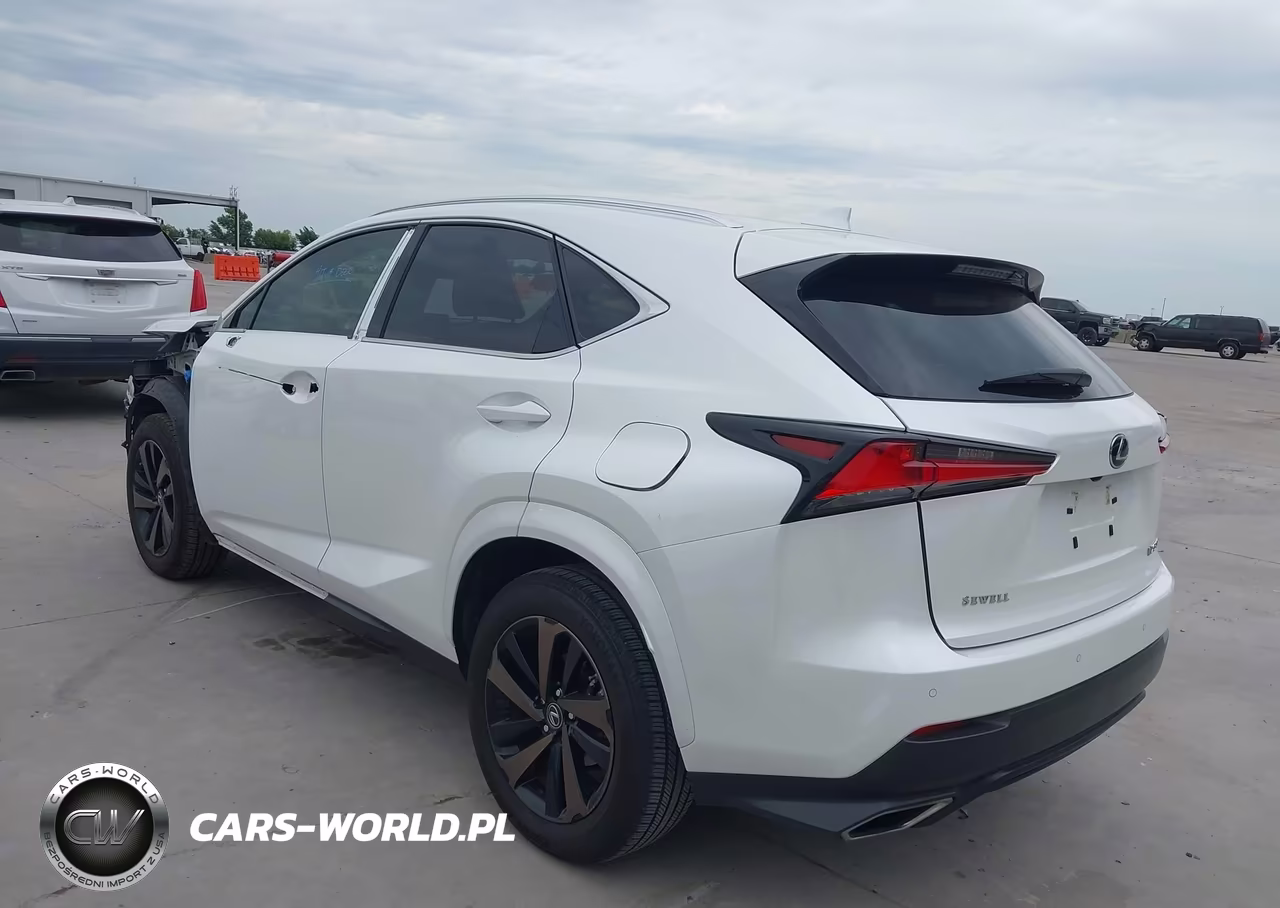 2020 Lexus Nx 300 VIN:JTJGARBZ8L2168275 - 3