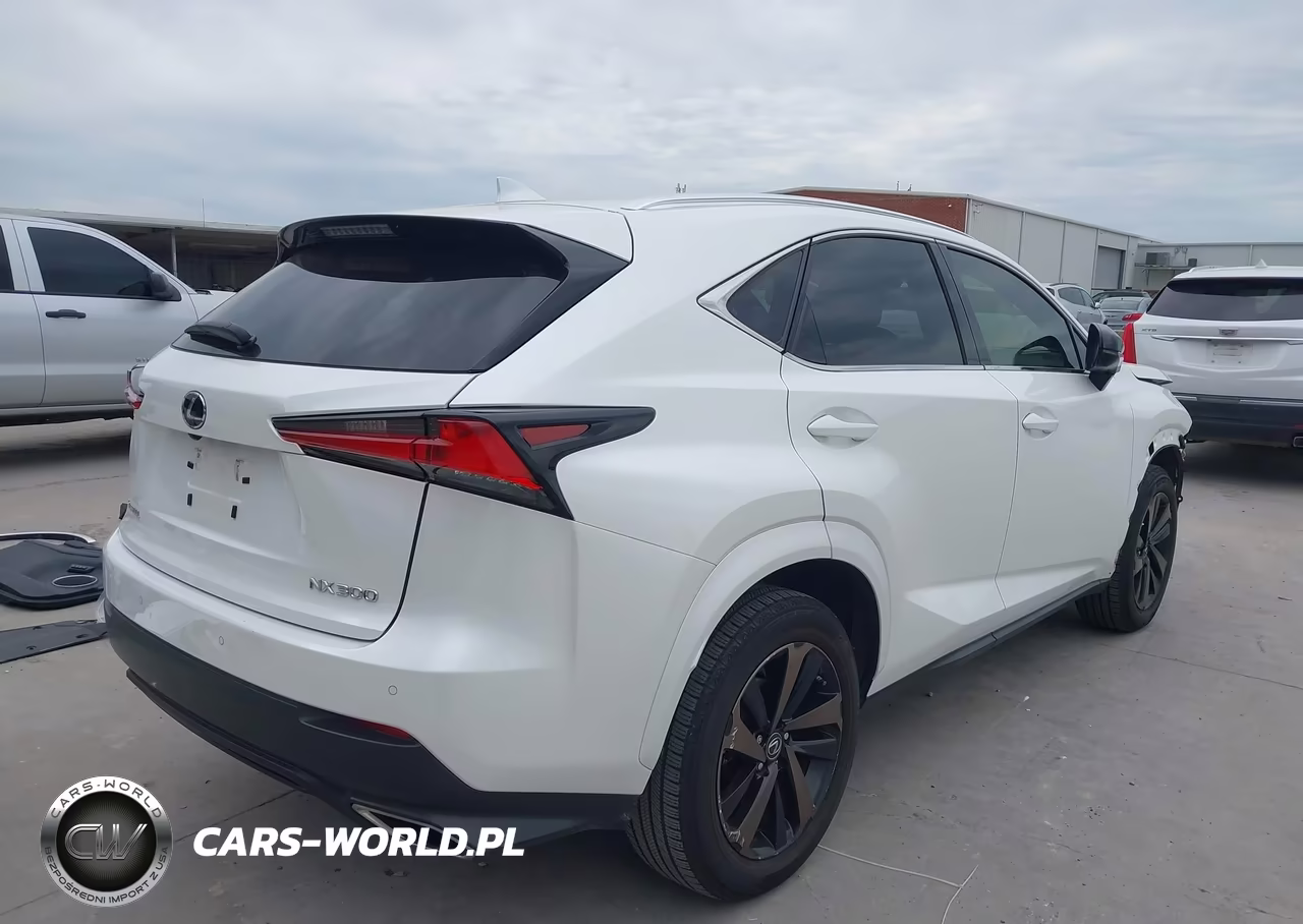 2020 Lexus Nx 300 VIN:JTJGARBZ8L2168275 - 4