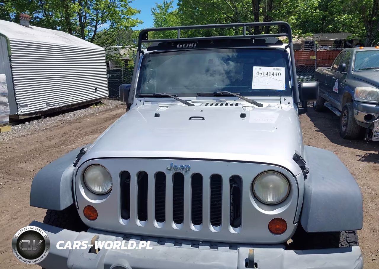 2009 Jeep Wrangler Unlimited X VIN:1J4GA391X9L733266 - 6