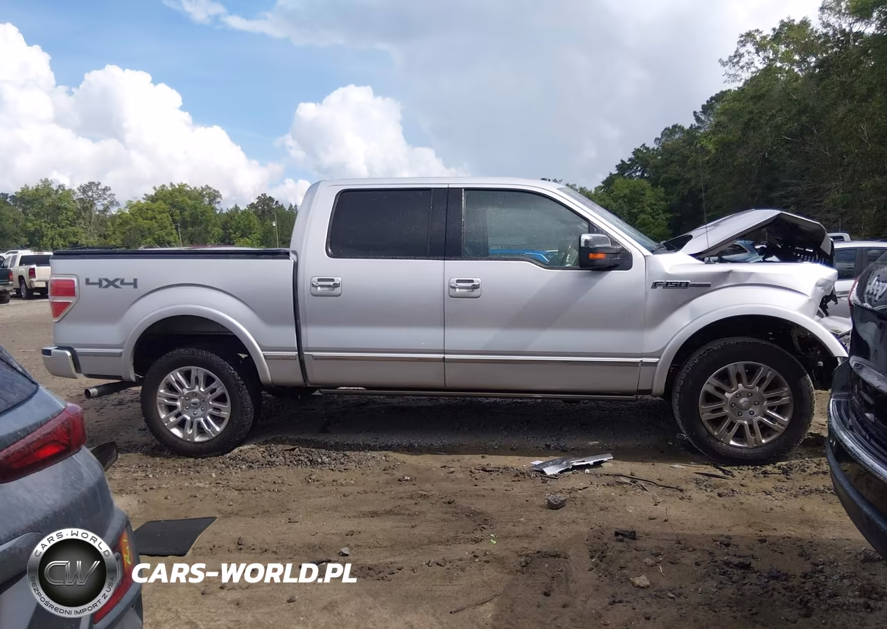 2010 Ford F-150 Fx4-Harley-Davidson-King Ranch-Lariat-Platinum-Xl-Xlt VIN:1FTFW1EV6AFB54178 - 14