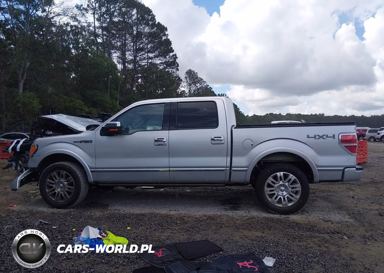 2010 Ford F-150 Fx4-Harley-Davidson-King Ranch-Lariat-Platinum-Xl-Xlt VIN:1FTFW1EV6AFB54178 - 15