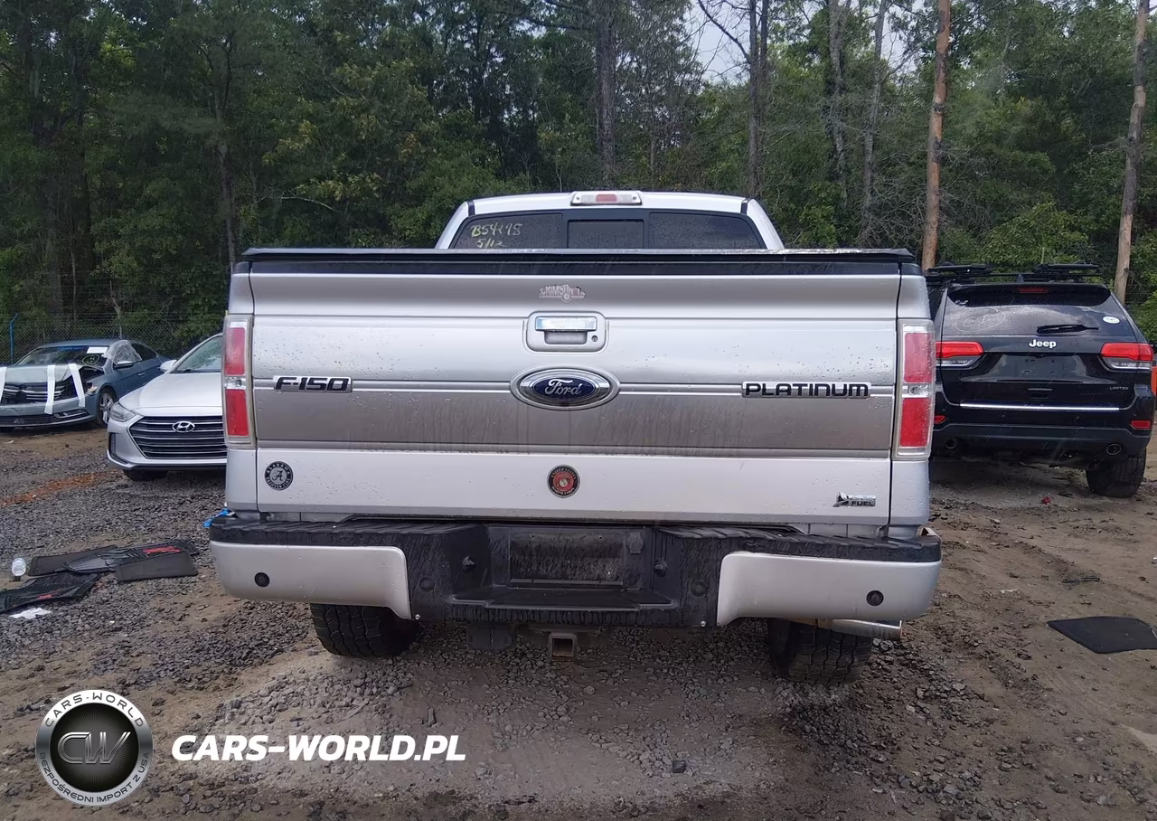 2010 Ford F-150 Fx4-Harley-Davidson-King Ranch-Lariat-Platinum-Xl-Xlt VIN:1FTFW1EV6AFB54178 - 17