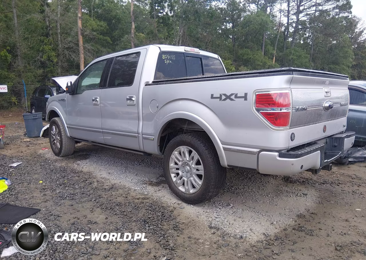 2010 Ford F-150 Fx4-Harley-Davidson-King Ranch-Lariat-Platinum-Xl-Xlt VIN:1FTFW1EV6AFB54178 - 3