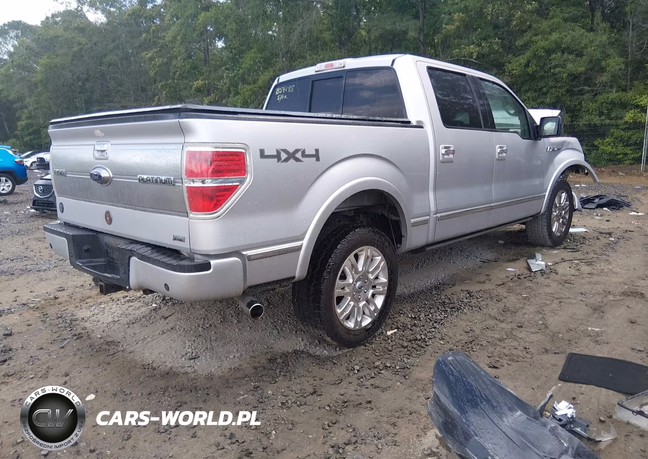 2010 Ford F-150 Fx4-Harley-Davidson-King Ranch-Lariat-Platinum-Xl-Xlt VIN:1FTFW1EV6AFB54178 - 4