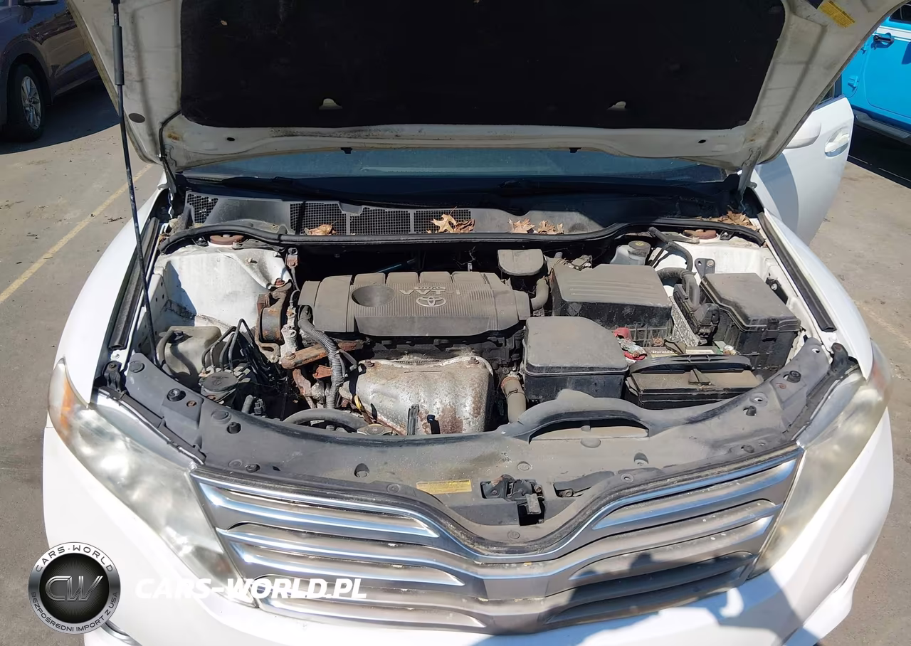 2009 Toyota Venza VIN:4T3BE11A09U005778 - 10