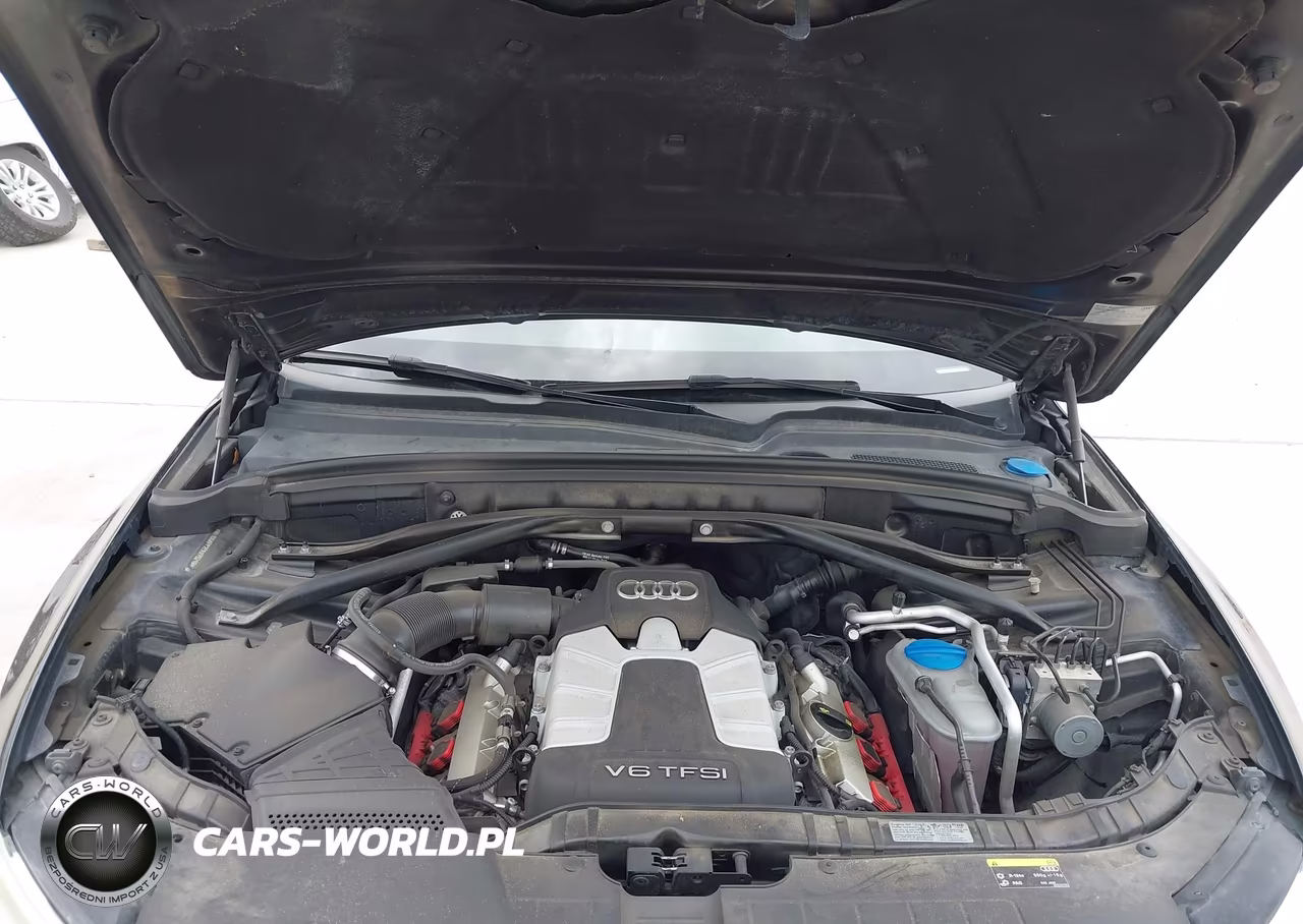 2014 Audi Q5 3.0T Premium Plus VIN:WA1DGAFP2EA075219 - 10