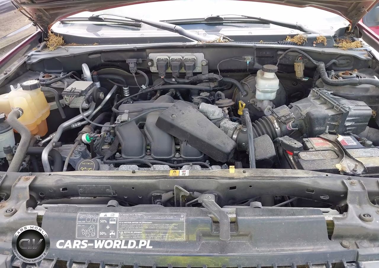2006 Ford Escape Xlt-Xlt Sport VIN:1FMYU03136KA49214 - 10