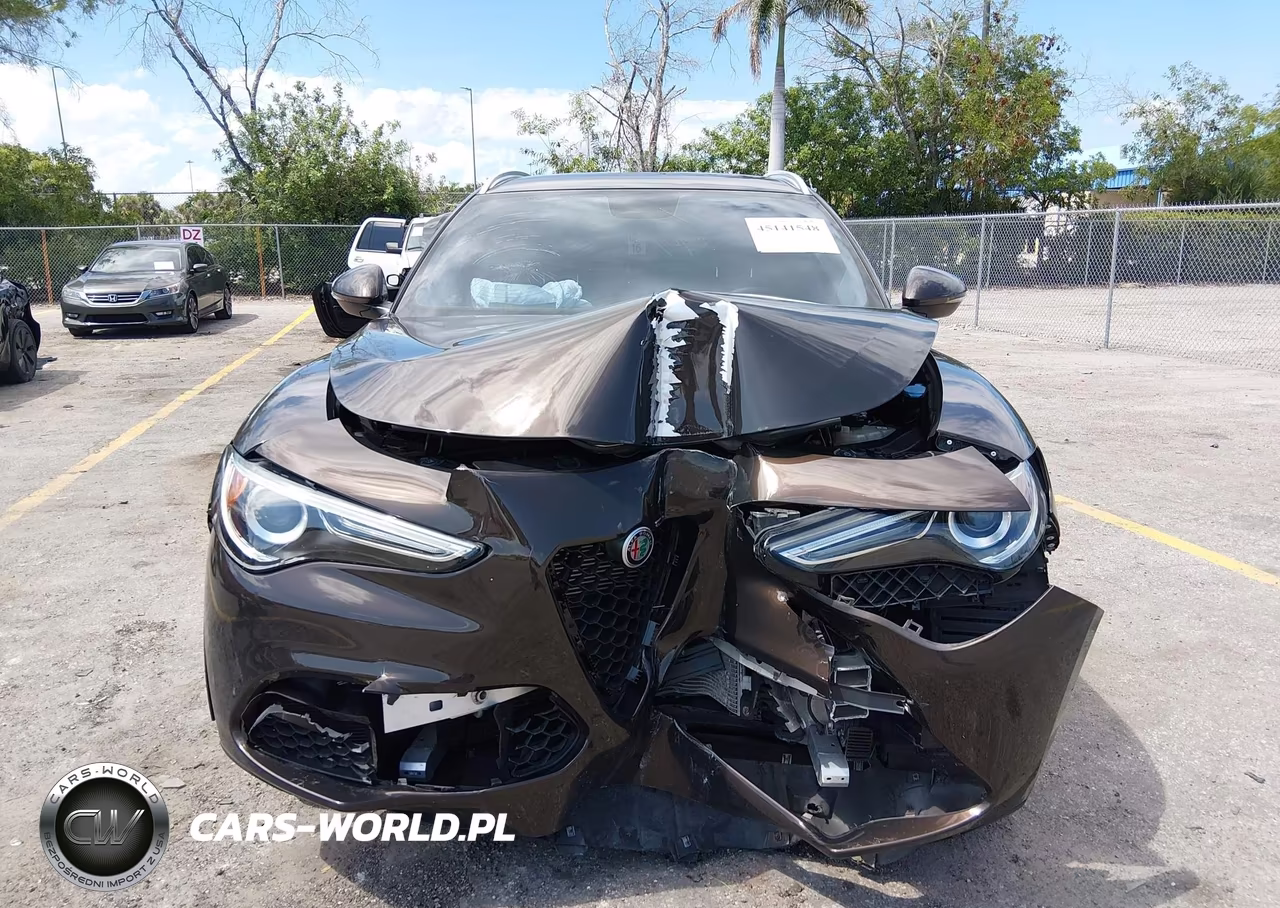 2019 Alfa Romeo Stelvio Rwd VIN:ZASPAJAN1K7C51994 - 12