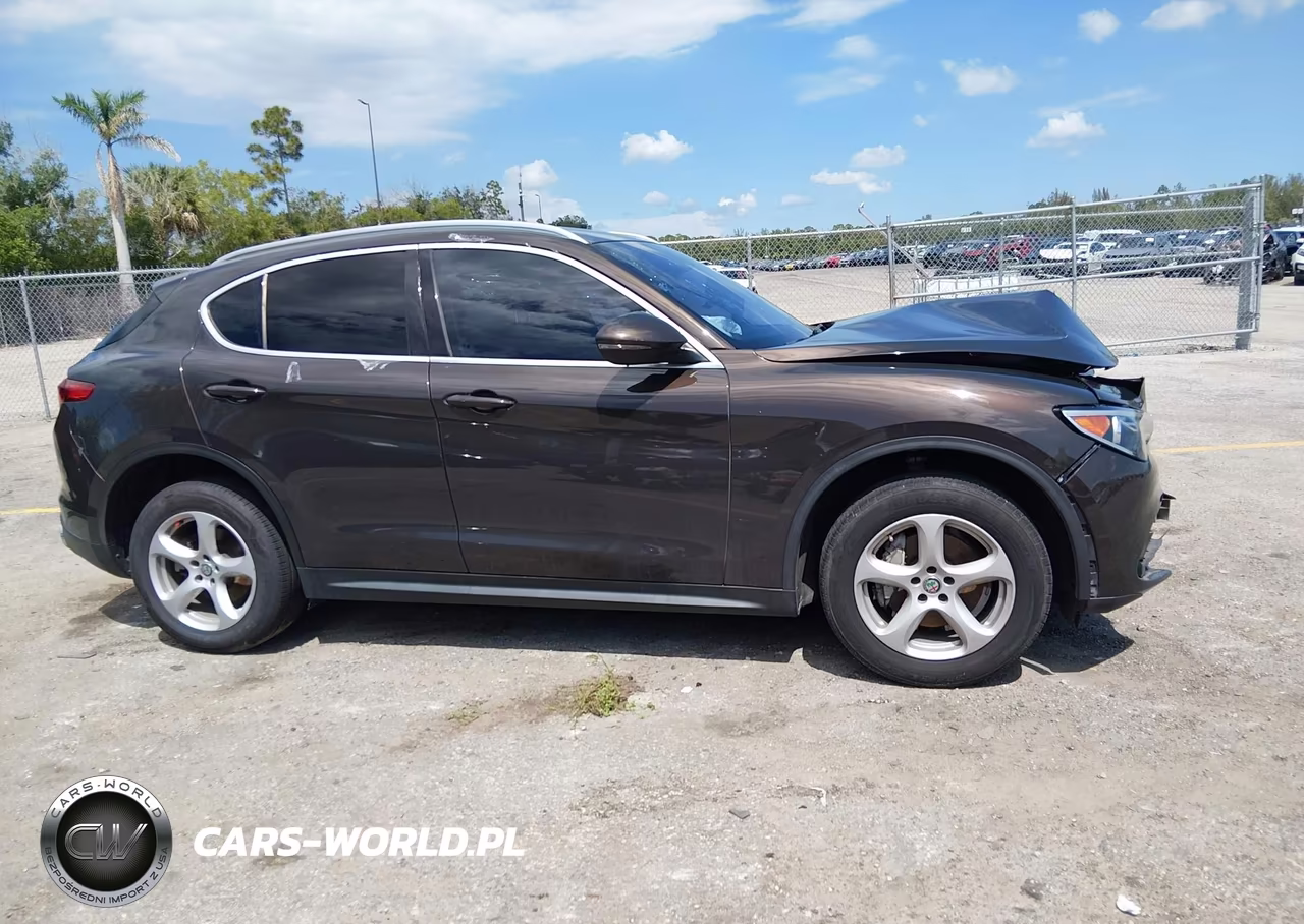 2019 Alfa Romeo Stelvio Rwd VIN:ZASPAJAN1K7C51994 - 13
