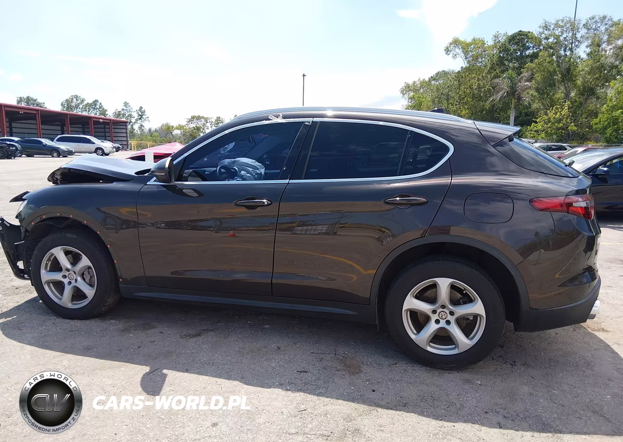 2019 Alfa Romeo Stelvio Rwd VIN:ZASPAJAN1K7C51994 - 14