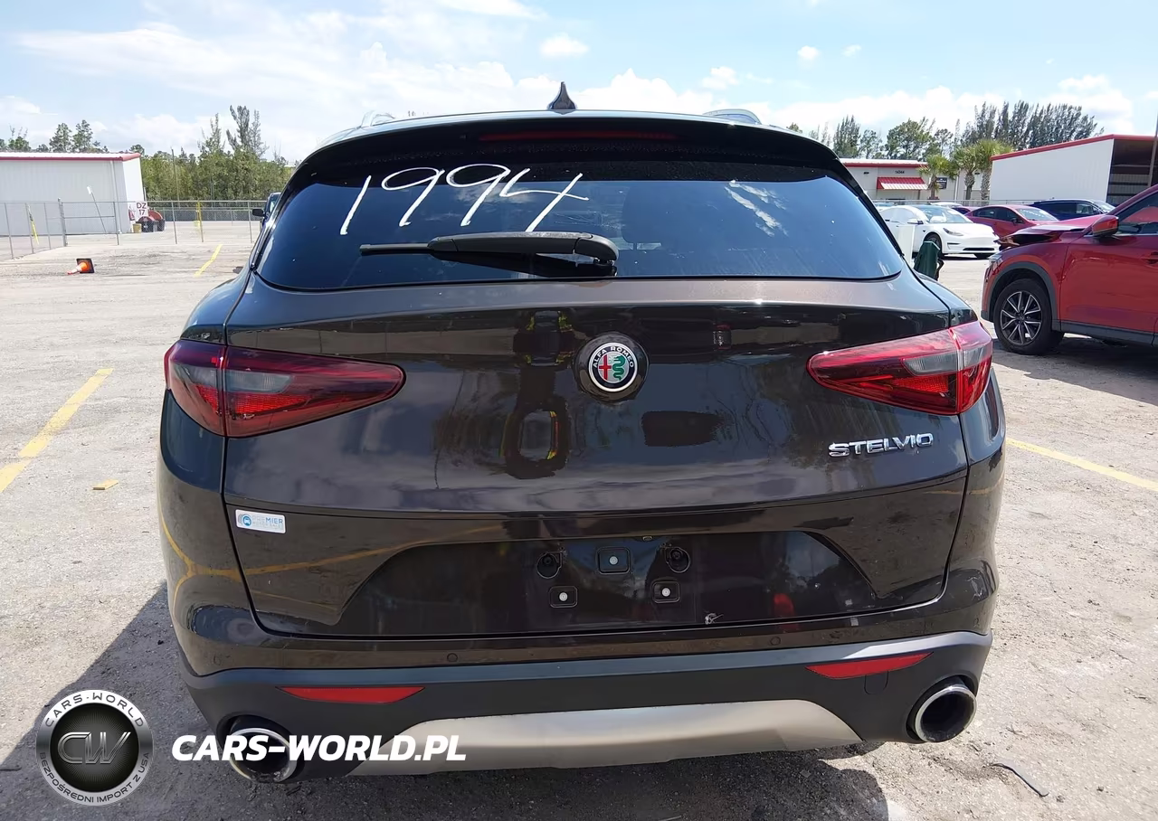 2019 Alfa Romeo Stelvio Rwd VIN:ZASPAJAN1K7C51994 - 16