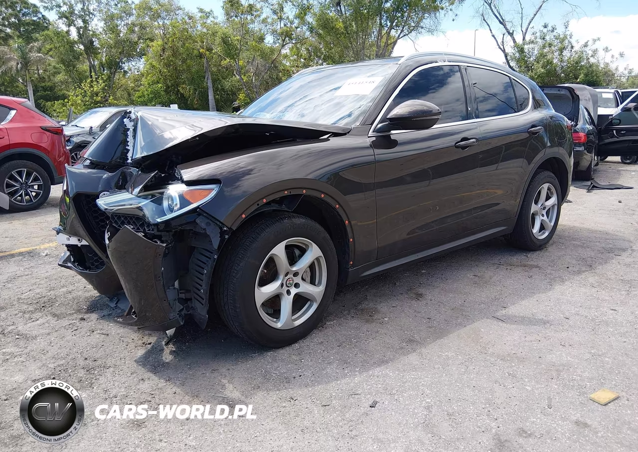 2019 Alfa Romeo Stelvio Rwd VIN:ZASPAJAN1K7C51994 - 2