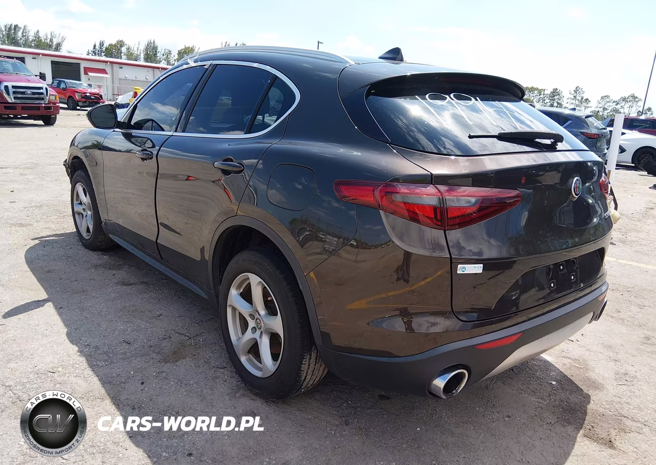 2019 Alfa Romeo Stelvio Rwd VIN:ZASPAJAN1K7C51994 - 3