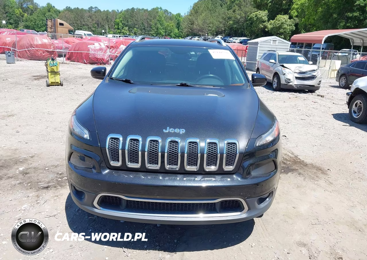 2014 Jeep Cherokee Limited VIN:1C4PJMDS4EW249954 - 12
