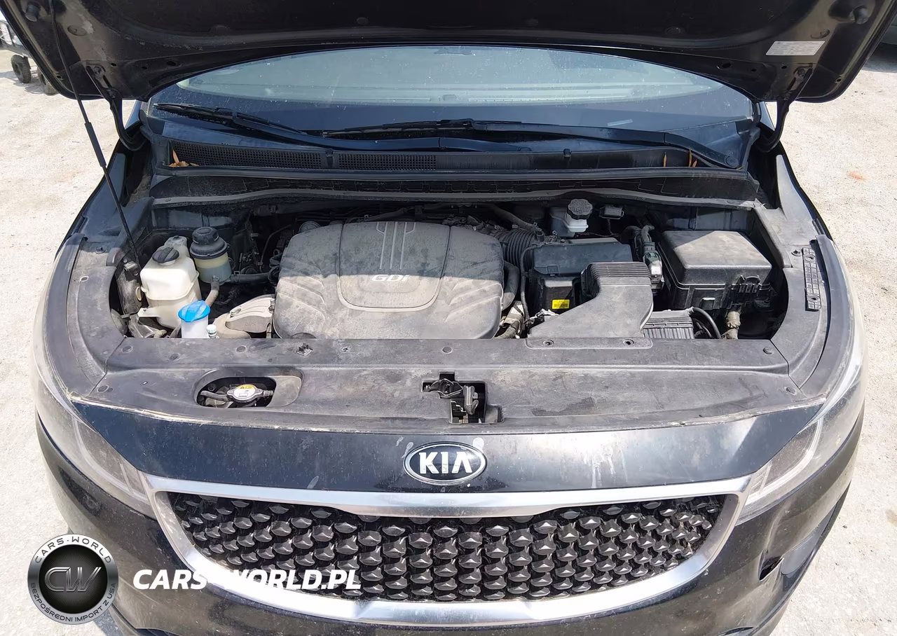 2016 Kia Sedona Lx VIN:KNDMB5C1XG6160424 - 10