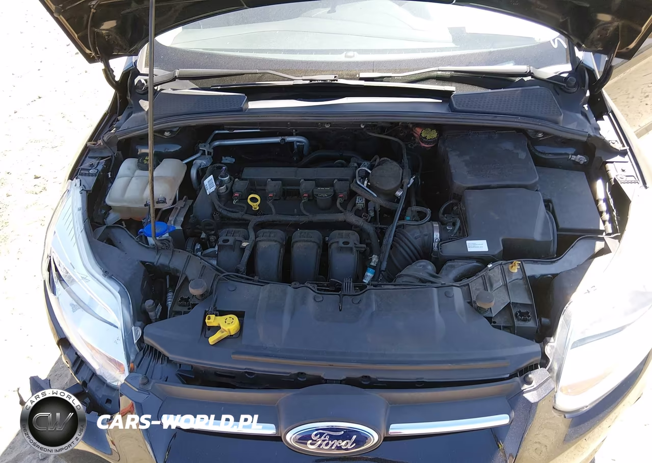 2014 Ford Focus Se VIN:1FADP3F29EL215900 - 10