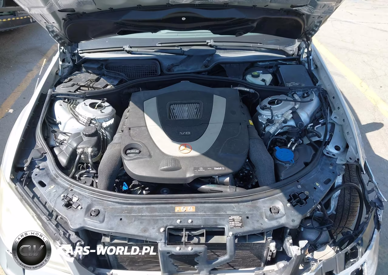 2010 Mercedes-Benz S 550 VIN:WDDNG7BB8AA324923 - 10