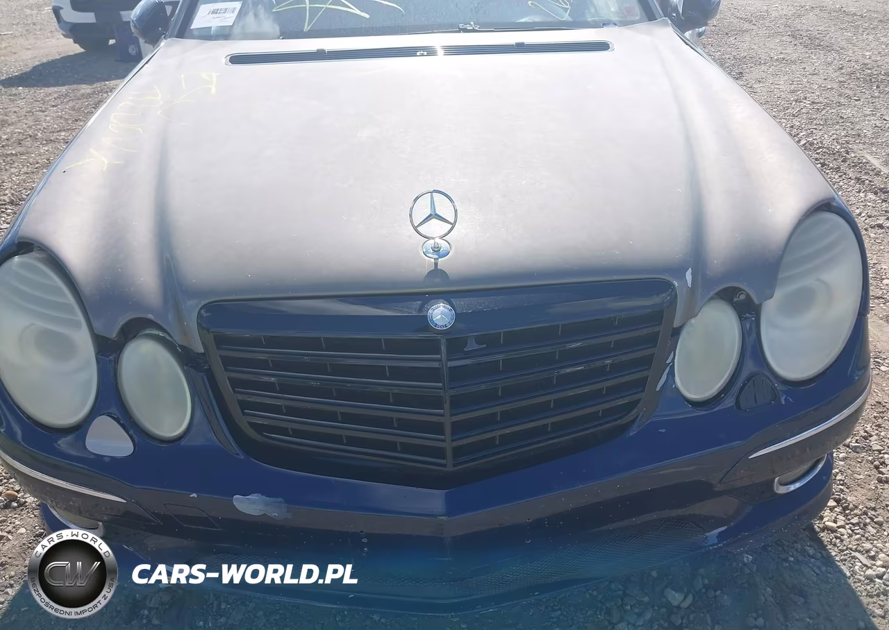 2009 Mercedes-Benz E 350 4Matic VIN:WDBUF87X89B413480 - 10