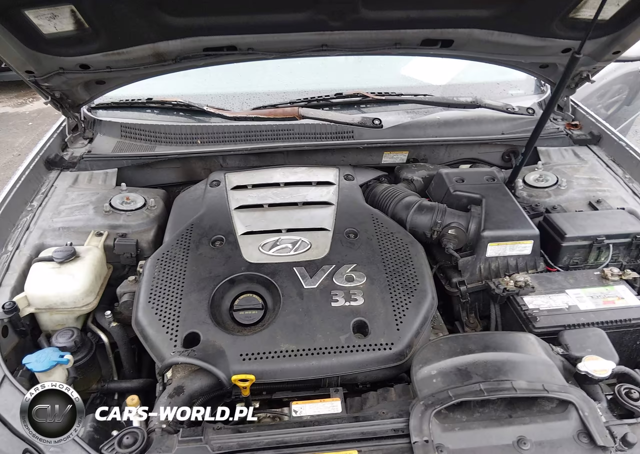 2006 Hyundai Sonata VIN:5NPEU46F96H042773 - 10