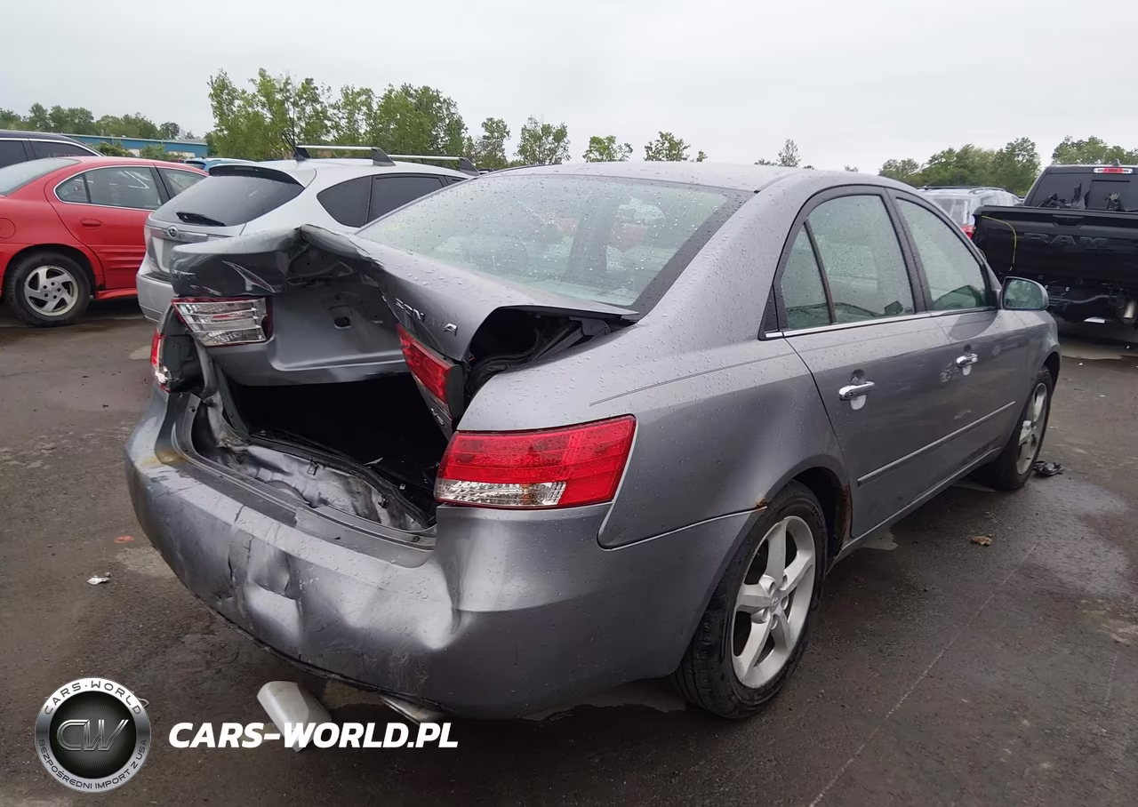2006 Hyundai Sonata VIN:5NPEU46F96H042773 - 4