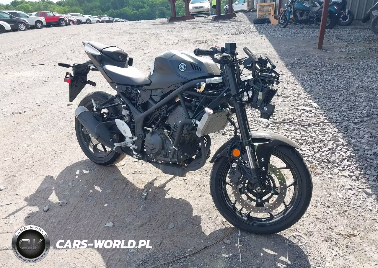 2025 Yamaha Yfz320 A