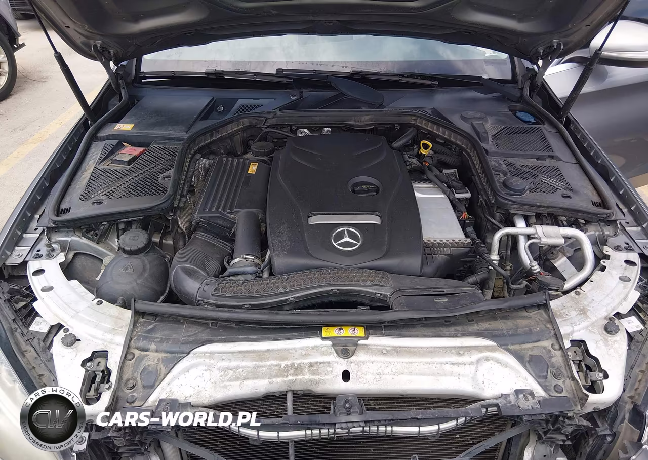 2015 Mercedes-Benz C 300 Luxury VIN:55SWF4JB6FU078355 - 10
