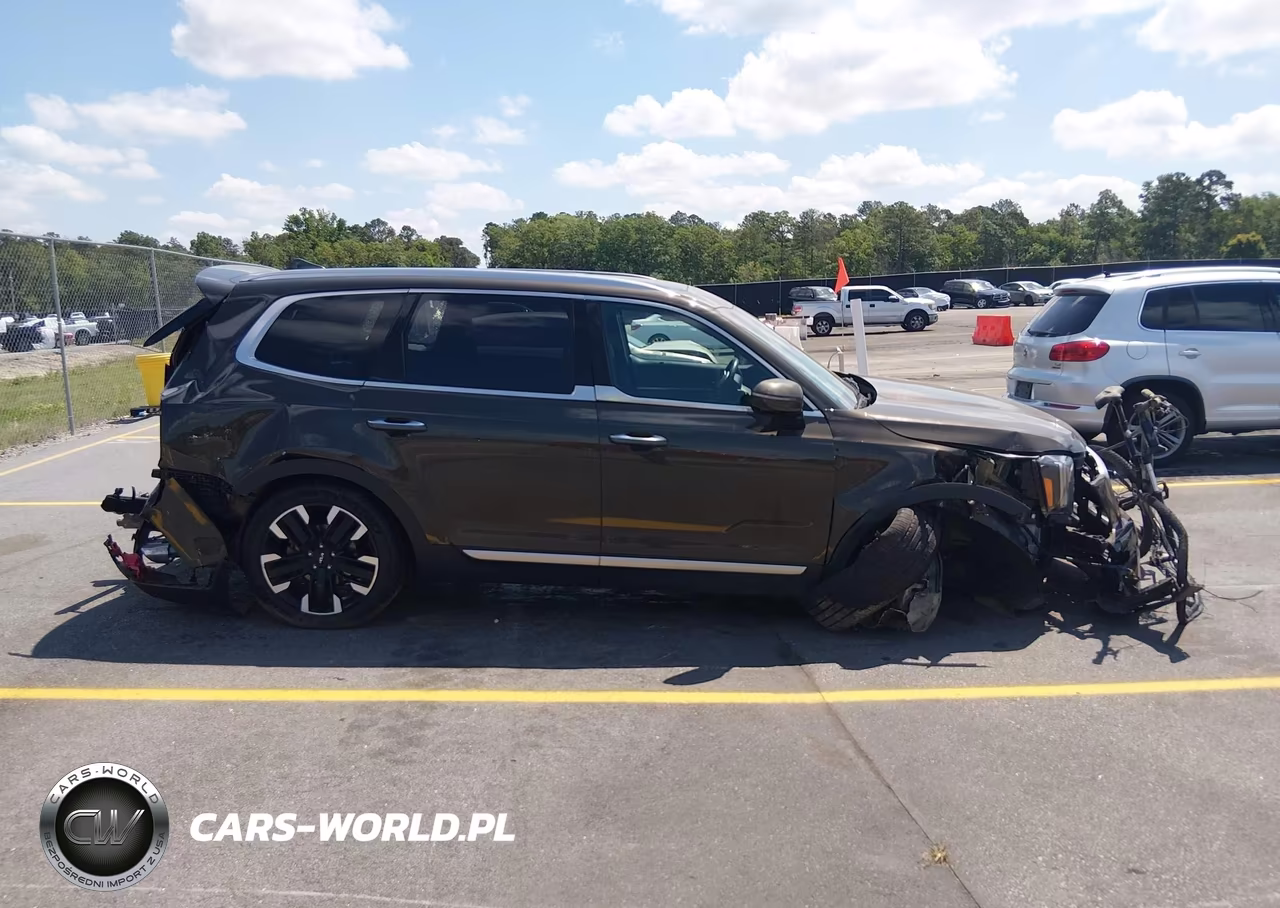 2023 Kia Telluride Sx Prestige VIN:5XYP5DGC4PG345947 - 10