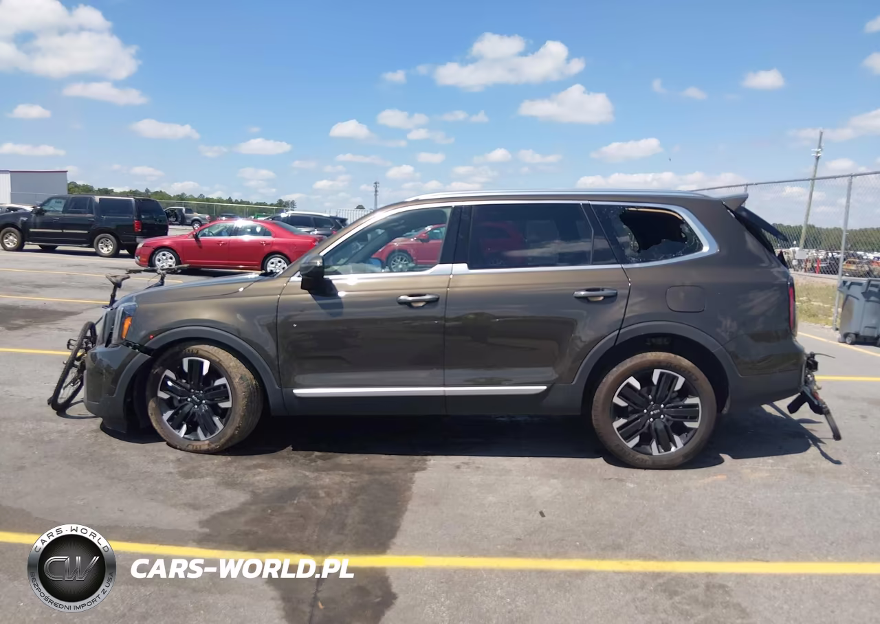 2023 Kia Telluride Sx Prestige VIN:5XYP5DGC4PG345947 - 11