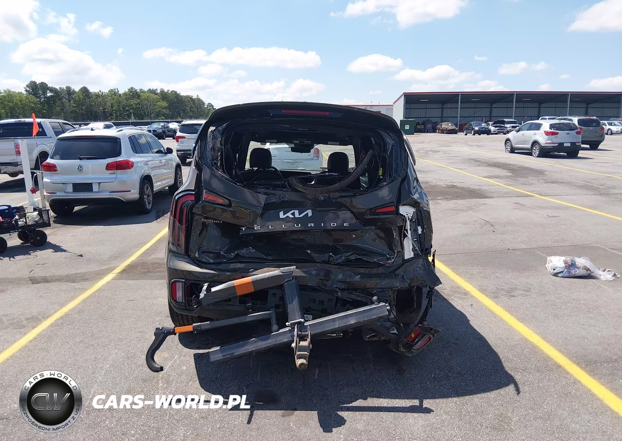 2023 Kia Telluride Sx Prestige VIN:5XYP5DGC4PG345947 - 13