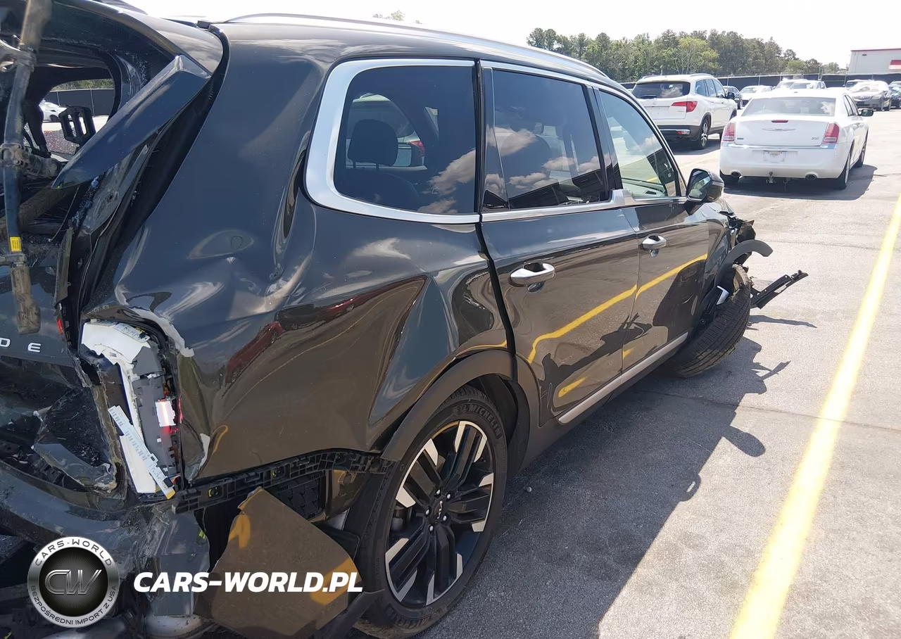 2023 Kia Telluride Sx Prestige VIN:5XYP5DGC4PG345947 - 16