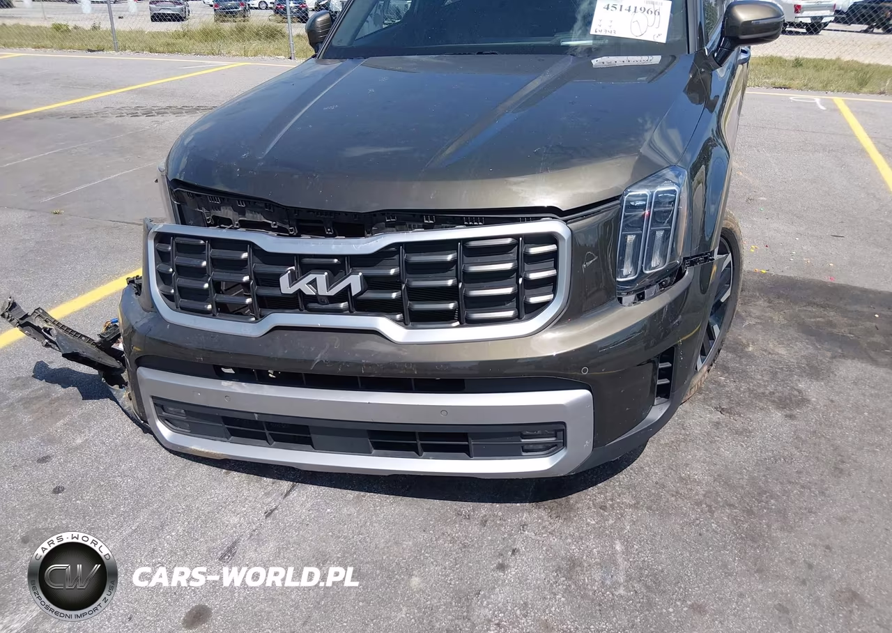 2023 Kia Telluride Sx Prestige VIN:5XYP5DGC4PG345947 - 18