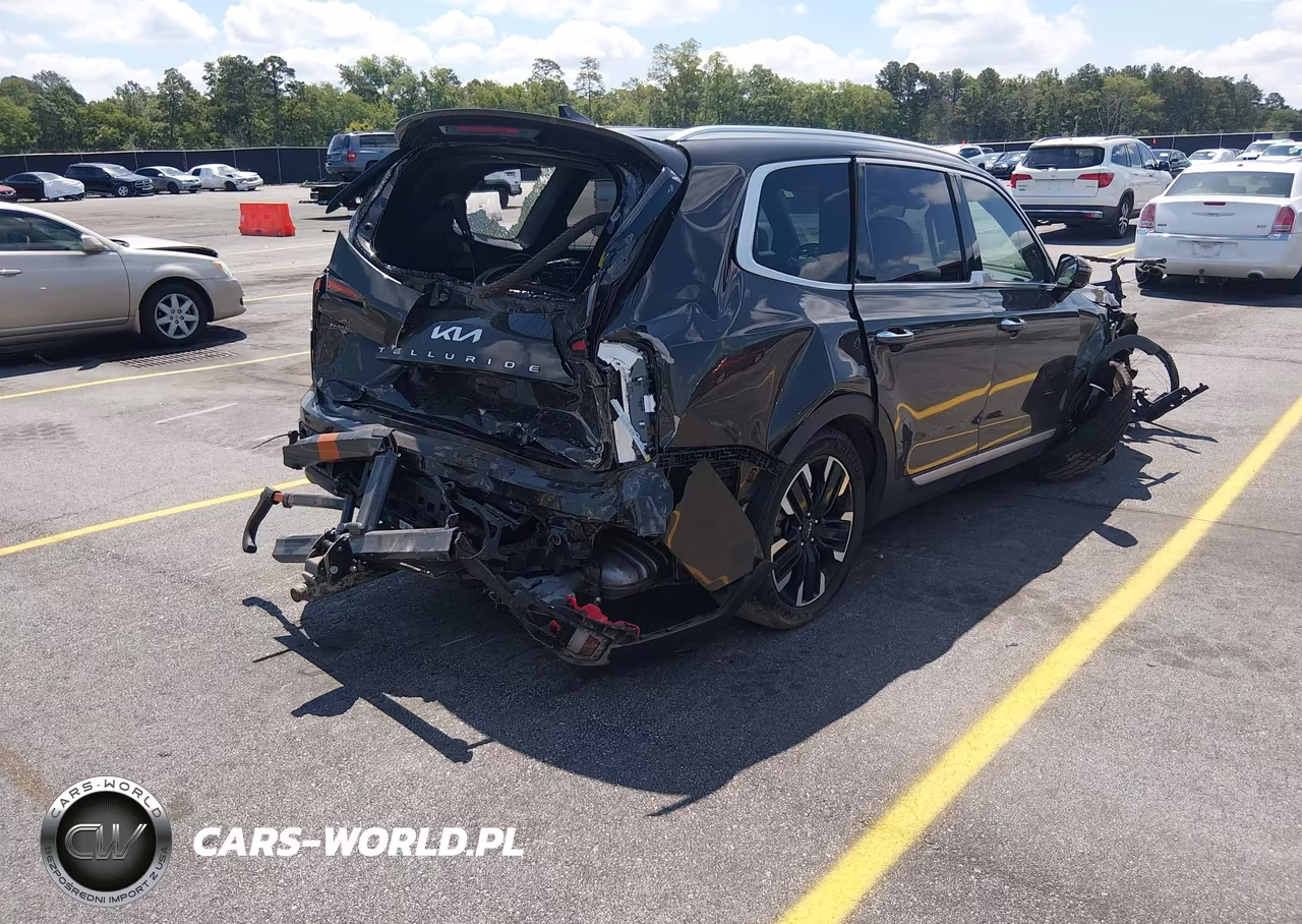 2023 Kia Telluride Sx Prestige VIN:5XYP5DGC4PG345947 - 2