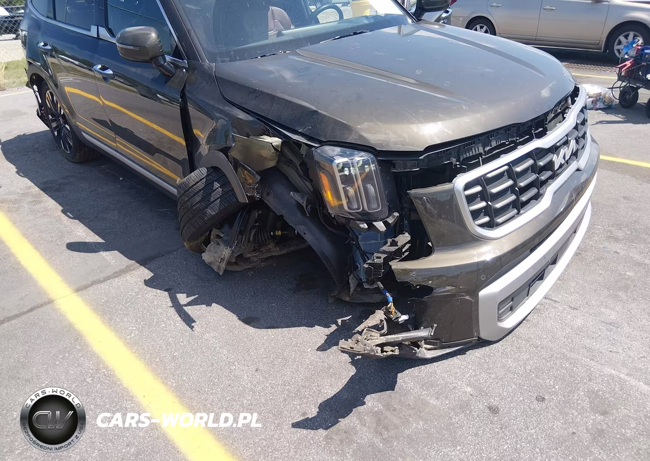 2023 Kia Telluride Sx Prestige VIN:5XYP5DGC4PG345947 - 4
