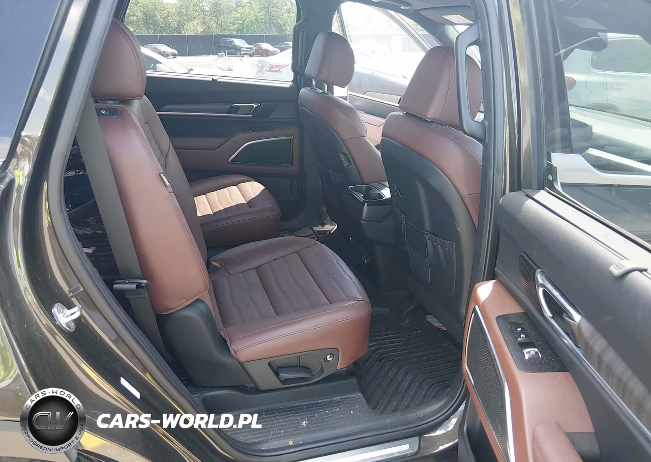 2023 Kia Telluride Sx Prestige VIN:5XYP5DGC4PG345947 - 6