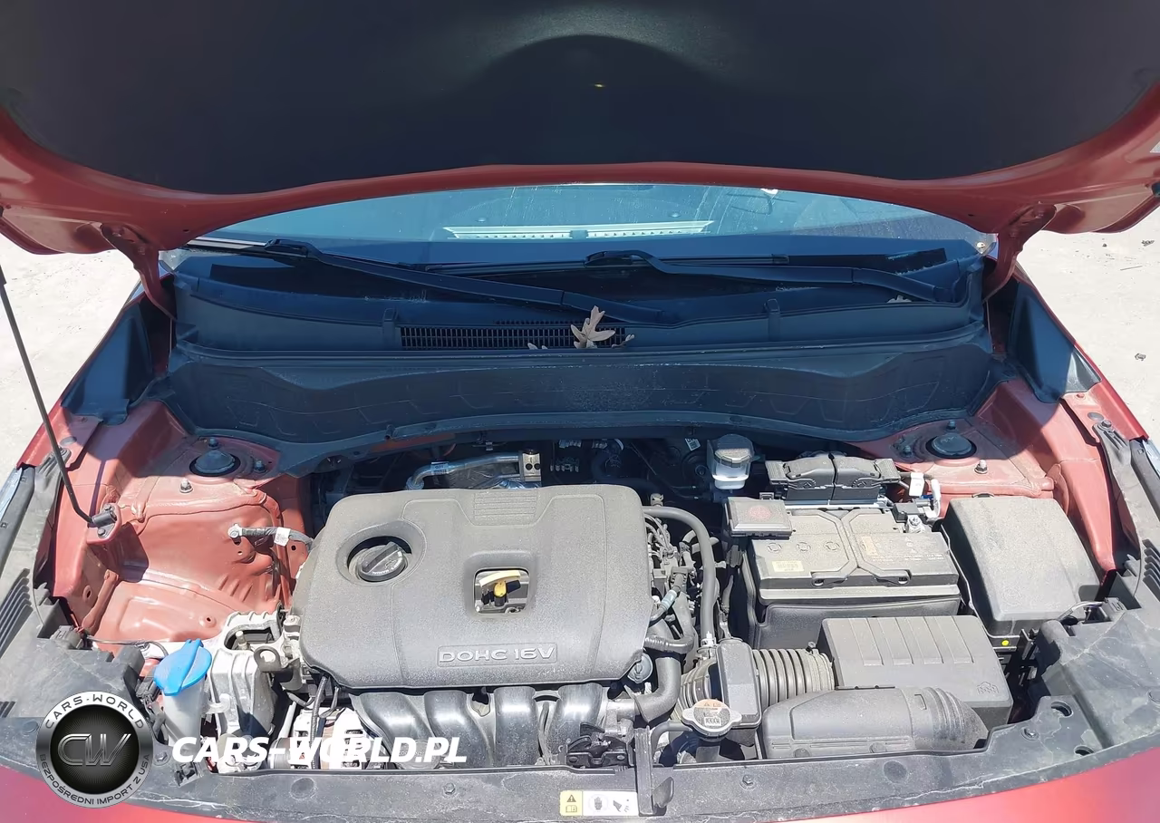 2023 Kia Seltos S VIN:KNDEUCAA8P7355874 - 10
