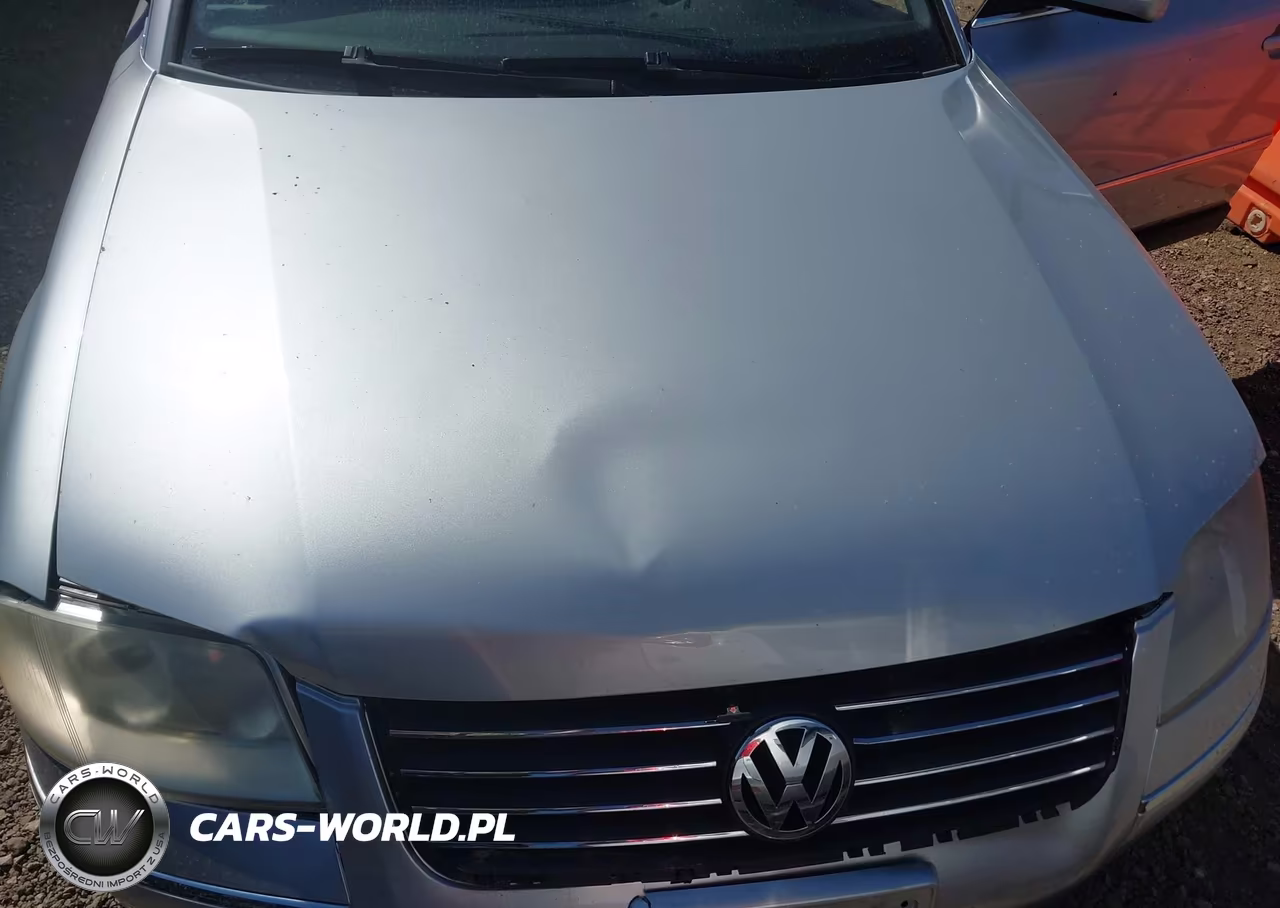 2003 Volkswagen Passat Glx VIN:WVWRH63B83P100679 - 10