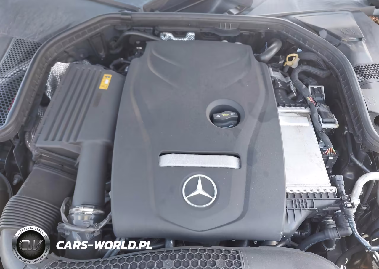 2018 Mercedes-Benz C 300 VIN:55SWF4JB9JU279126 - 10