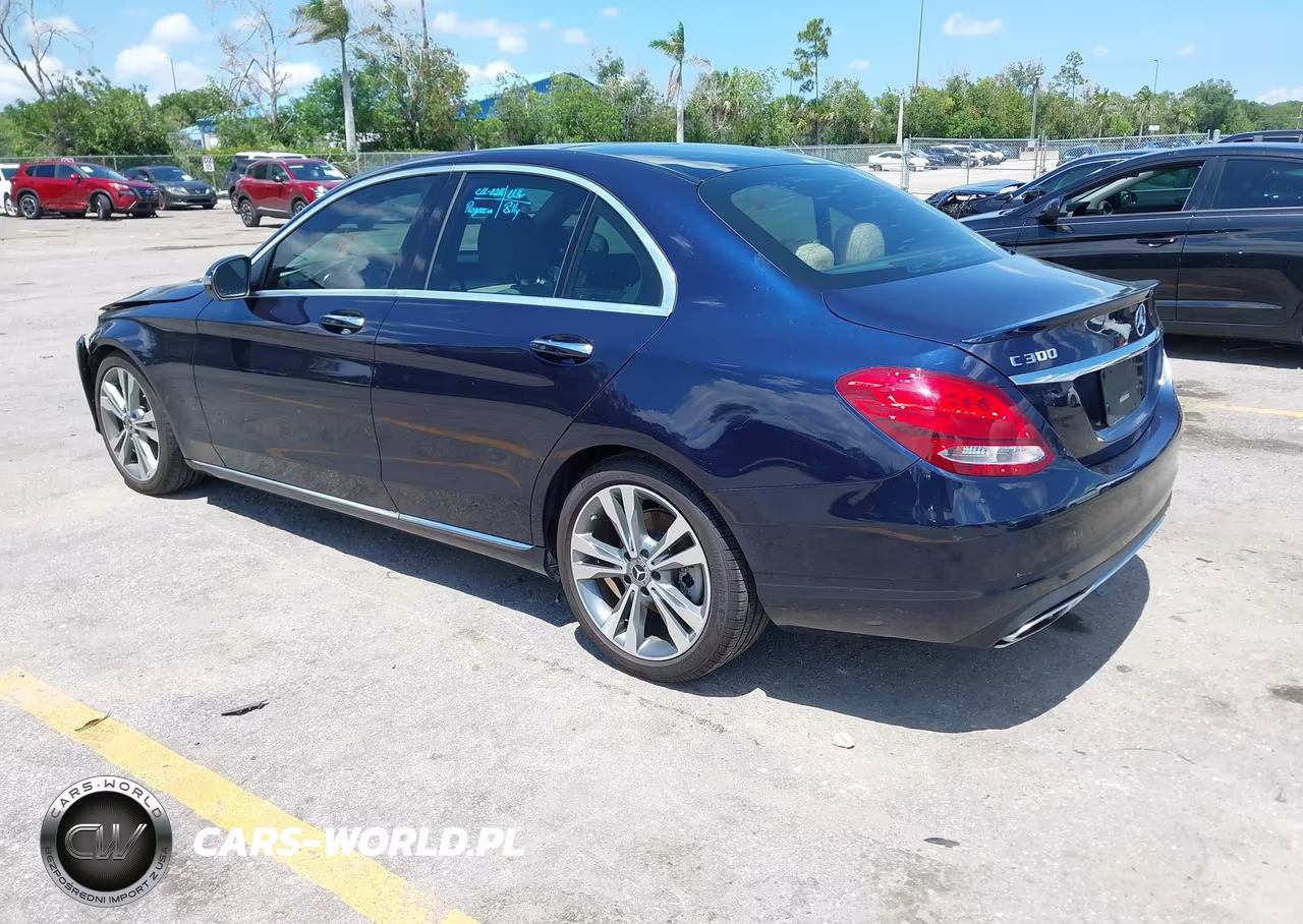 2018 Mercedes-Benz C 300 VIN:55SWF4JB9JU279126 - 3