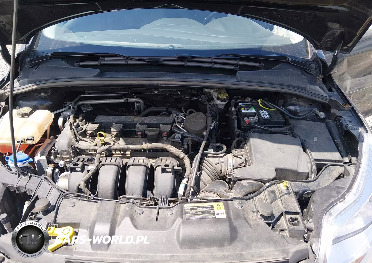 2014 Ford Focus Se VIN:1FADP3K29EL120016 - 10